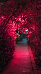 Fototapeta premium Pink-Lit Walkway with Foliage at Night