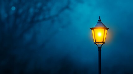 A glowing street lamp illuminates a foggy evening scene, creating a serene atmosphere.