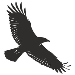 Obraz premium silhouette bird image on white background