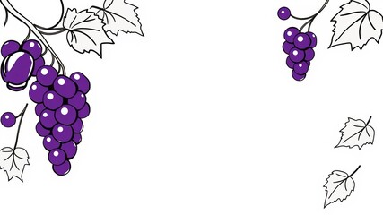 Continuous line art drawing of grapes in black on white background, vector illustration, sketch, illustration, white background