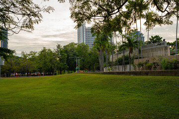 Fototapeta premium Green meadow grass in city public park city office building background sky clound
