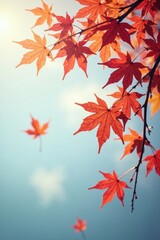 Fototapeta premium Delicate maple leaves drift against a pale winter sky, leaves, maple, light