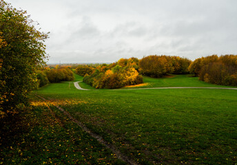 A picturesque park with stunning autumn-colored trees