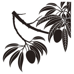 silhouette mango image on white background