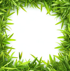Fresh Green Grass Frame with Blank White Center: Nature Background