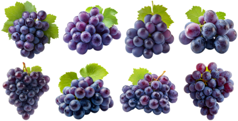 Collection of various A cluster of juicy purple grapes isolated on white transparent background PNG set