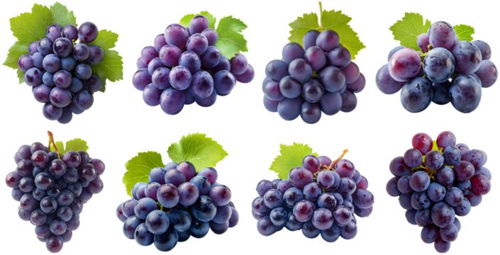 Collection of various A cluster of juicy purple grapes isolated on white transparent background PNG set