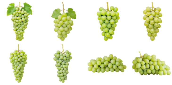 Collection of various Riesling grapes, a popular white variety with a translucent appearance and crisp flavor isolated on white transparent background PNG set