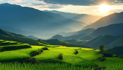 Obraz premium Breathtaking sunrise over terraced rice fields mountain region nature photography scenic landscape wide-angle view for relaxation