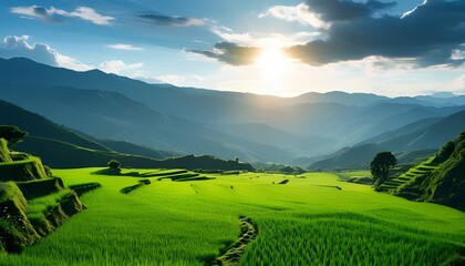 Sunrise over lush rice terraces mountainous region landscape photography serene environment wide angle view nature's beauty