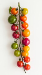 Obraz premium Vibrant cluster of multicolored cherry tomatoes on vine against white background. Fresh produce and organic gardening concept