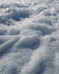 A serene snow-covered field sparkles under the winter sun.