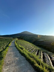 View of vegetable plantations on the slopes of Mount Sumbing with a cloudy blue sky