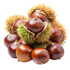 Chestnuts Isolated on White Background