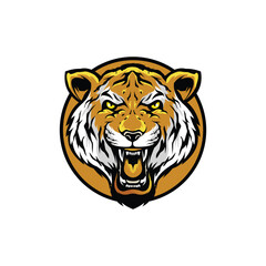 Angry tiger head color inside gold circle illustrator logo design