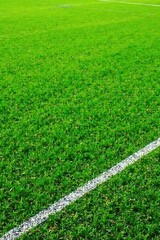 A Lush Green Field with a Crisp White Line Marking a Playing Surface
