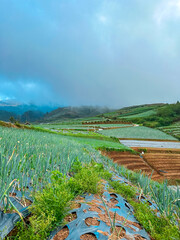 View of vegetable plantations on the slopes of Mount Sumbing with a cloudy blue sky
