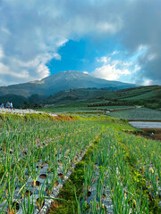 View of vegetable plantations on the slopes of Mount Sumbing with a cloudy blue sky