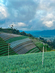 Terraced vegetable plantations in the mountains and cloudy sky