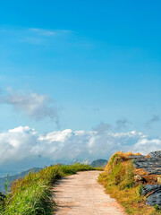A path with a view of the sea of ​​clouds