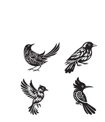 set of vector birds and silhouette for graphic design