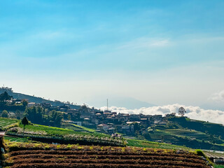Rice terraces filled with water and a background of mountains and blue sky