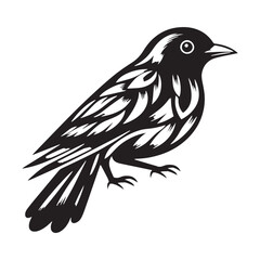 vector illustration of a bird