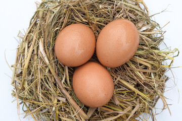 Several fresh brown chicken eggs in straw isolated on white background. Easter concept, suitable for Happy Easter Decoration, template for tag, gift greeting card, shopping banner, advertising promo.