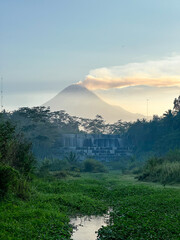 a stream filled with aquatic plants with a mountain background in the morning