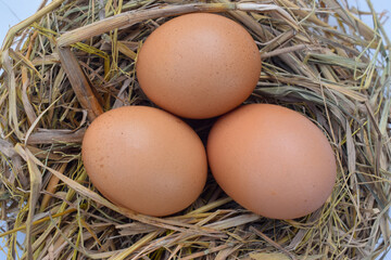 Several fresh brown chicken eggs in straw isolated on white background. Easter concept, suitable for Happy Easter Decoration, template for tag, gift greeting card, shopping banner, advertising promo.