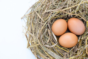 Several fresh brown chicken eggs in straw isolated on white background. Easter concept, suitable for Happy Easter Decoration, template for tag, gift greeting card, shopping banner, advertising promo.