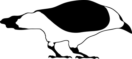 Bird Raven Crow Black Silhouette for Icon.