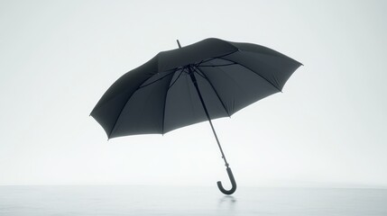 Black umbrella, studio shot, white background, protection