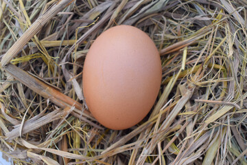 Raw chicken eggs in a nest on a straw pillow, top view. Easter holiday concept
