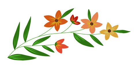 hand drawn flowers Spring for creative, decorative, and artistic design projects, floral bouquets, flower compositions, Beautiful romantic flower collection