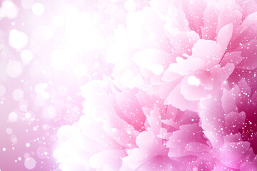 Background with roses and peonies flowers. greeting card