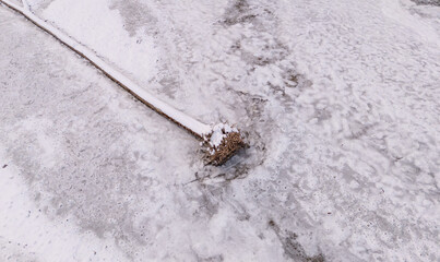 Reed Emerging from Frozen Lake Surface During Winter in Tranquil Environment
