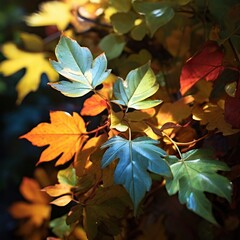 Obraz premium autumn leaves on the water