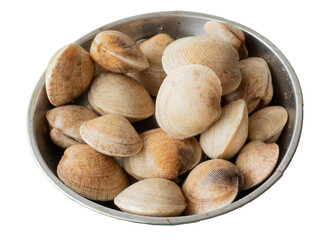 Fresh Little Neck Clams. Fresh raw clams in aluminum tray.