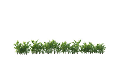 3d rendering of flowers, plants and flowers. green grass isolated on white