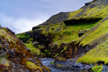grass covered mountain