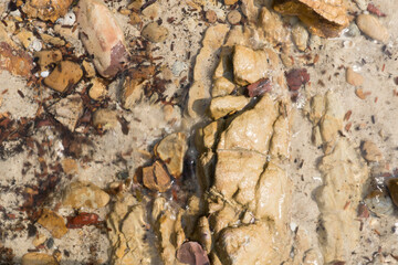Natural beach rocks at the tropical sea