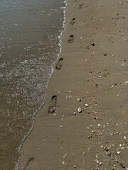Footprints in wet sand along the shoreline as gentle waves wash over the beach. Small seashells and pebbles are scattered across the sand, adding texture to the serene coastal scene.
