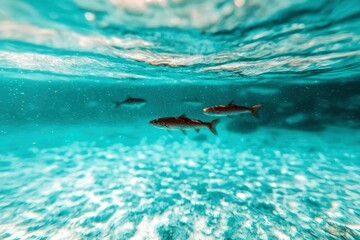 Obraz premium Sharks swim in clear ocean water in tropics; underwater wildlife imagery