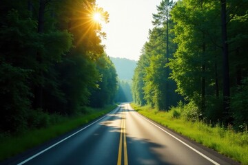 Fototapeta premium Asphalt Road Through Lush Green Forest at Sunrise, Sunlight Streaming Through Canopy, Shadows on Pavement