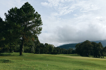 Serene golf course landscape with lush greenery and cloudy sky, ideal for outdoor leisure activities and sports