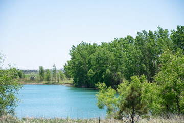 pond surrounded by trees