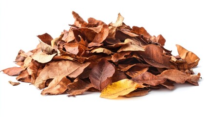 Autumn leaves pile, white background, nature, fall season, composting