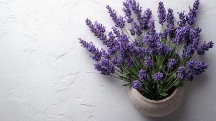 Lavender Bouquet in a Neutral Colored Pot on a White Background. Generative AI