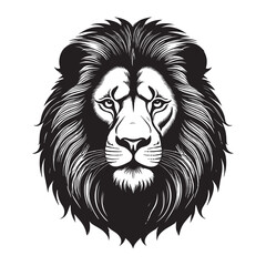 Obraz premium lion vector illustration